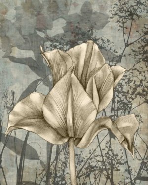 Tulip & Wildflowers IV by Jennifer Goldberger Oil Painting