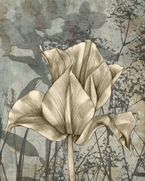 Tulip & Wildflowers IV by Jennifer Goldberger - Hand-Painted Oil Painting Reproduction