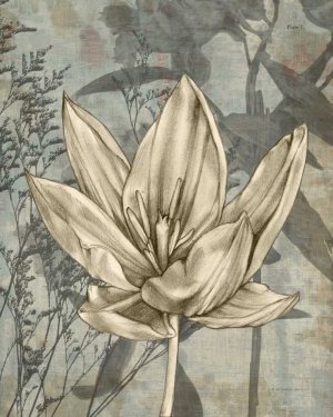 Tulip & Wildflowers VI by Jennifer Goldberger Oil Painting