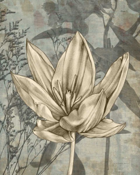 Tulip & Wildflowers VI by Jennifer Goldberger - Hand-Painted Oil Painting Reproduction