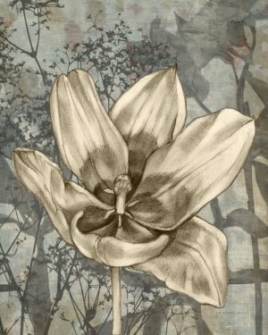 Tulip & Wildflowers VIII by Jennifer Goldberger Oil Painting
