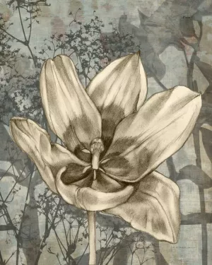 Tulip & Wildflowers VIII by Jennifer Goldberger Oil Painting