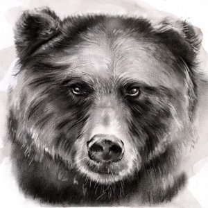 Bear Grin I by Jennifer Paxton Parker Oil Painting