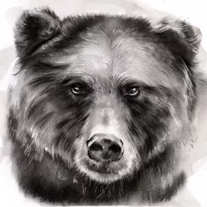 Bear Grin I Oil Painting by Jennifer Paxton Parker - Bestsellers