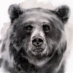 Bear Grin II by Jennifer Paxton Parker Oil Painting