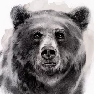 Bear Grin II Oil Painting by Jennifer Paxton Parker - Bestsellers