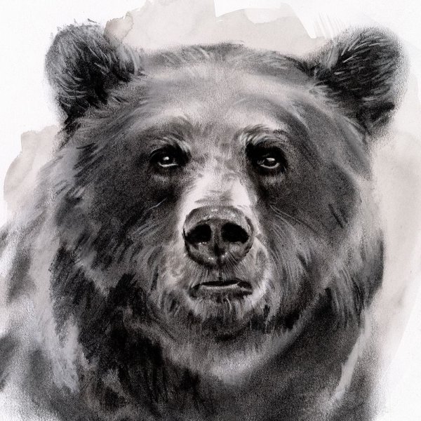 Main Product Photo of Bear Grin II Painting by Jennifer Paxton Parker