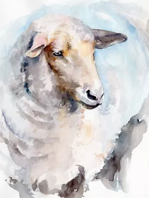 Watercolor Sheep I Oil painting by Jennifer Paxton Parker