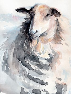Watercolor Sheep II by Jennifer Paxton Parker Oil Painting