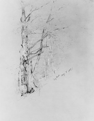 Main Product Photo of Dry Brook Painting by Jervis MCentee