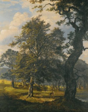 Dyrehaven Near Copenhagen by Johan Christian Dahl Oil Painting