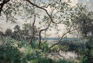 Water Vegetation. Motif from OstergOtland by Johan Krouthen Oil Painting