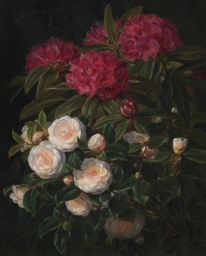 Kamelier Og Rhododendron by Johan Laurentz Jensen Oil Painting