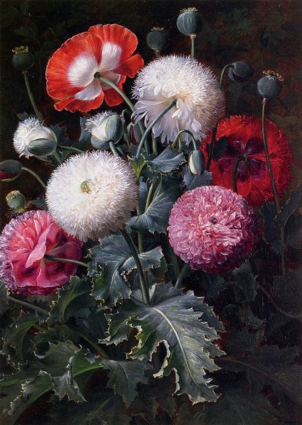 Still Life with Poppies and Other Flowers