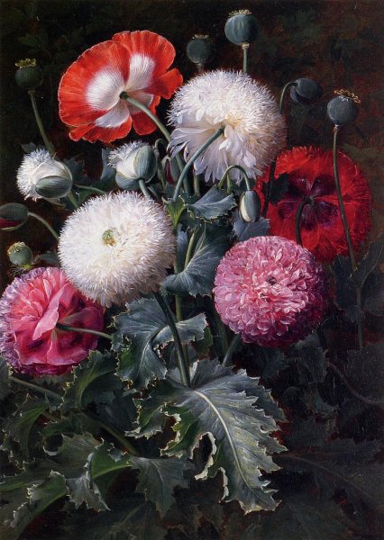 Main Product Photo of Still Life with Poppies and Other Flowers Painting by Johan Laurentz Jensen
