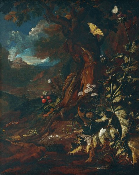 Main Product Photo of Landschaft mit Reptilien und Insekten  Painting by Johann Adalbert Angermayer