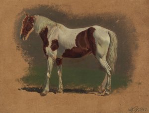 Pferdestudie by Johann Adam Klein Oil Painting