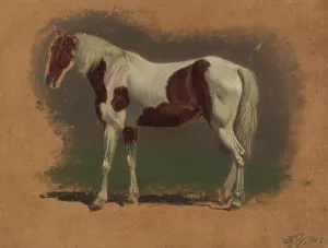 Pferdestudie by Johann Adam Klein Oil Painting