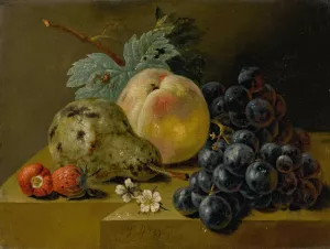 Still Life With Ripening Fruits On A Stone Ledge by Johann Amandus Wink Oil Painting