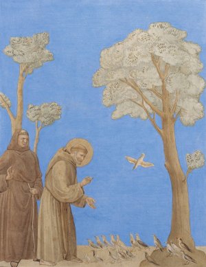 Saint Francis Preaching to the Birds by Johann Anton Ramboux Oil Painting