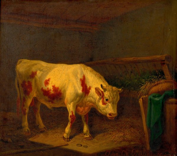 Main Product Photo of Rind im Stall  Painting by Johann Baptist Dallinger Von Dalling The Younger