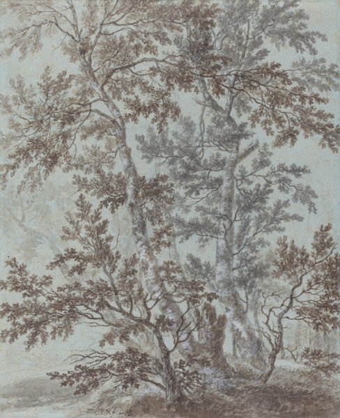 Main Product Photo of A Stand of Birch Trees Painting by Johann Caspar Huber