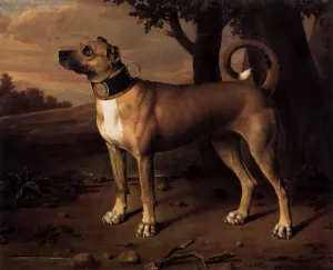 Ulmer Dogge by Johann Christof Merck Oil Painting