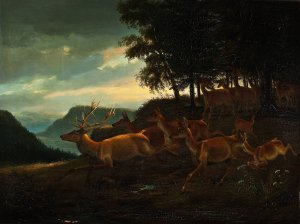 Stag In A Wood by Johann Erdmann Gottlieb Prestel Oil Painting