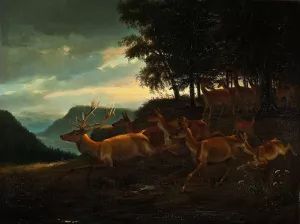 Stag In A Wood Oil painting by Johann Erdmann Gottlieb Prestel