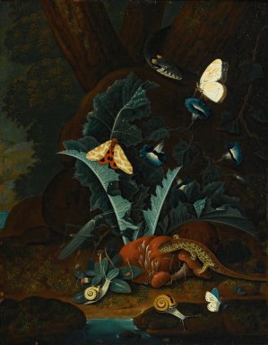Forest Floor Still Life With Snails, A Lizard, A Grasshopper, Moths And A Snake by Johann Falch Oil Painting