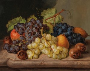 Still Life with Grapes and Pears by Johann Georg Seitz Oil Painting
