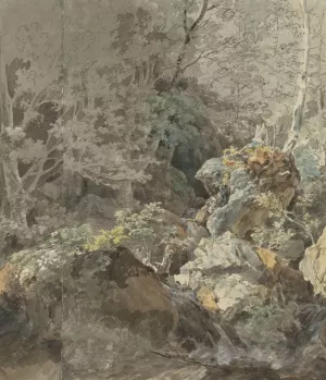 Waterfalls in a Mountain Forest by Johann Georg Von Dillis Oil Painting