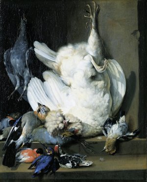 Still Life With Dead Poultry by Johann Heinrich Roos Oil Painting