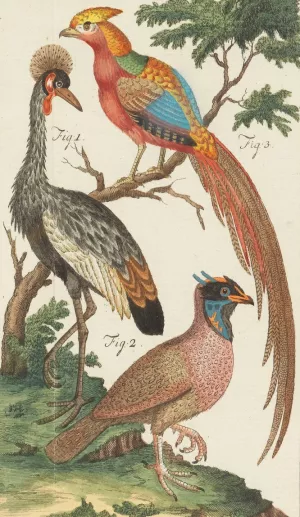 Naturlehre Oil painting by Johann Jacob Ebert