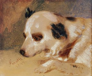 Hundekopf by Johann Matthias Ranftl Oil Painting