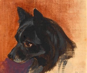 Kopf eines kleinen schwarzen Hundes by Johann Matthias Ranftl Oil Painting