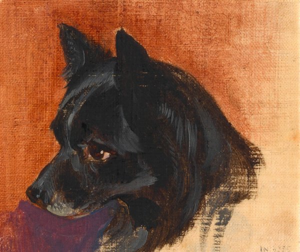 Kopf eines kleinen schwarzen Hundes  by Johann Matthias Ranftl - Hand-Painted Oil Painting Reproduction
