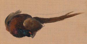 Studie eines toten Fasanes by Johann Matthias Ranftl Oil Painting