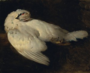 Totes Schneehuhn by Johann Matthias Ranftl Oil Painting