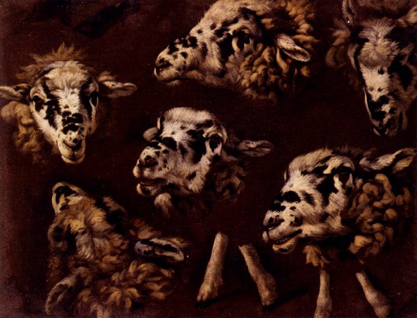 Main Product Photo of A Study Of Heads Of Sheep Painting by Johann Melchior Roos