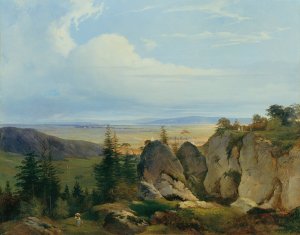 Die Wiener-Neustadter Heide von Wetzelsdorf aus gesehen by Johann Nepomuk Passini Oil Painting