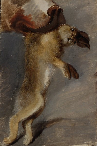 Main Product Photo of Studie eines Hasen  Painting by Johann Peter Krafft