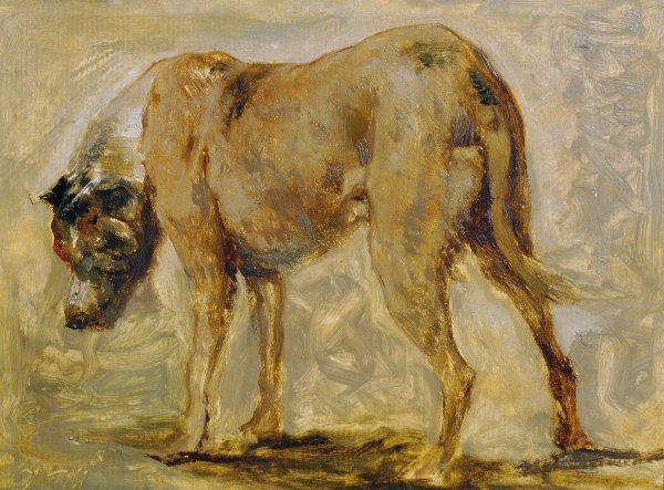 Main Product Photo of Braune Dogge Painting by Johann Till