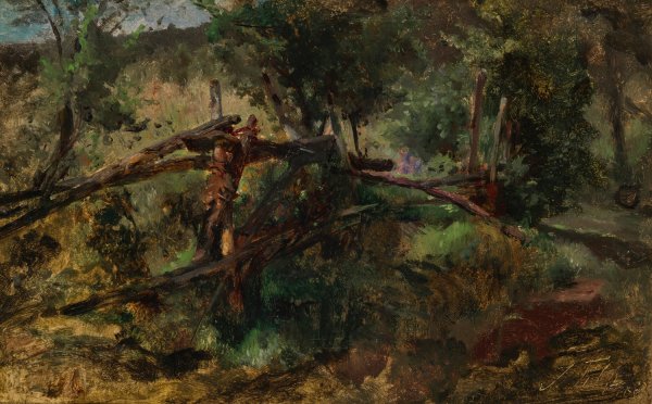 Main Product Photo of Waldweg mit Zaun Painting by Johann Till