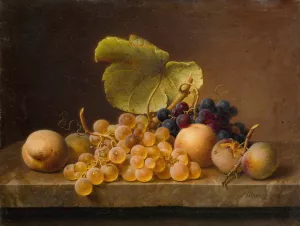 Still Life With Grapes  by Johann Wilhelm Preyer Oil Painting