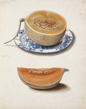 Studie Af To Netmeloner, Halveret Og Kvadreret by Johanna Fosie Oil Painting