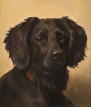 Black Setter by Johannes Christian Deiker Oil Painting