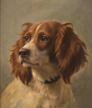 Spaniel, coloured brown-white by Johannes Christian Deiker Oil Painting