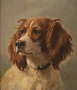 Spaniel, coloured brown-white by Johannes Christian Deiker Oil Painting