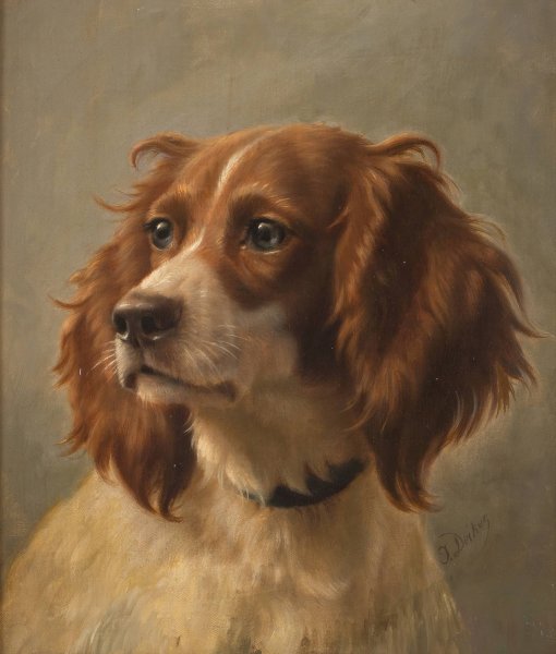 Spaniel, coloured brown-white by Johannes Christian Deiker - Hand-Painted Oil Painting Reproduction